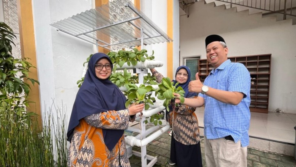 Panen Pakcoy Hidroponik di MTsN 41 Jakarta, Program Madrasah Dukung Edukasi Lingkungan
